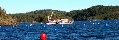 Aquaculture